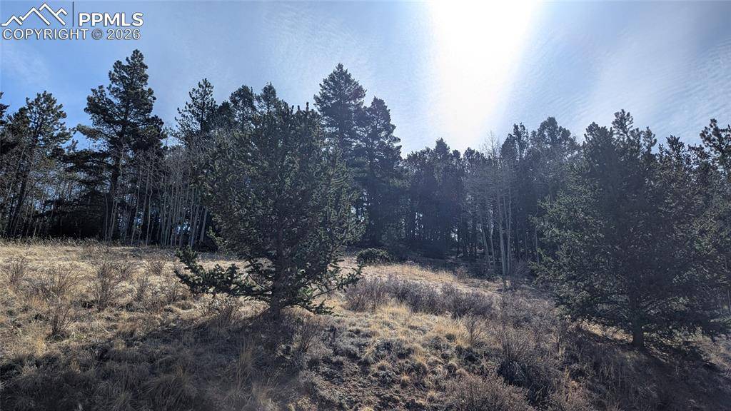 136 Valley RD, Divide, CO 80814
