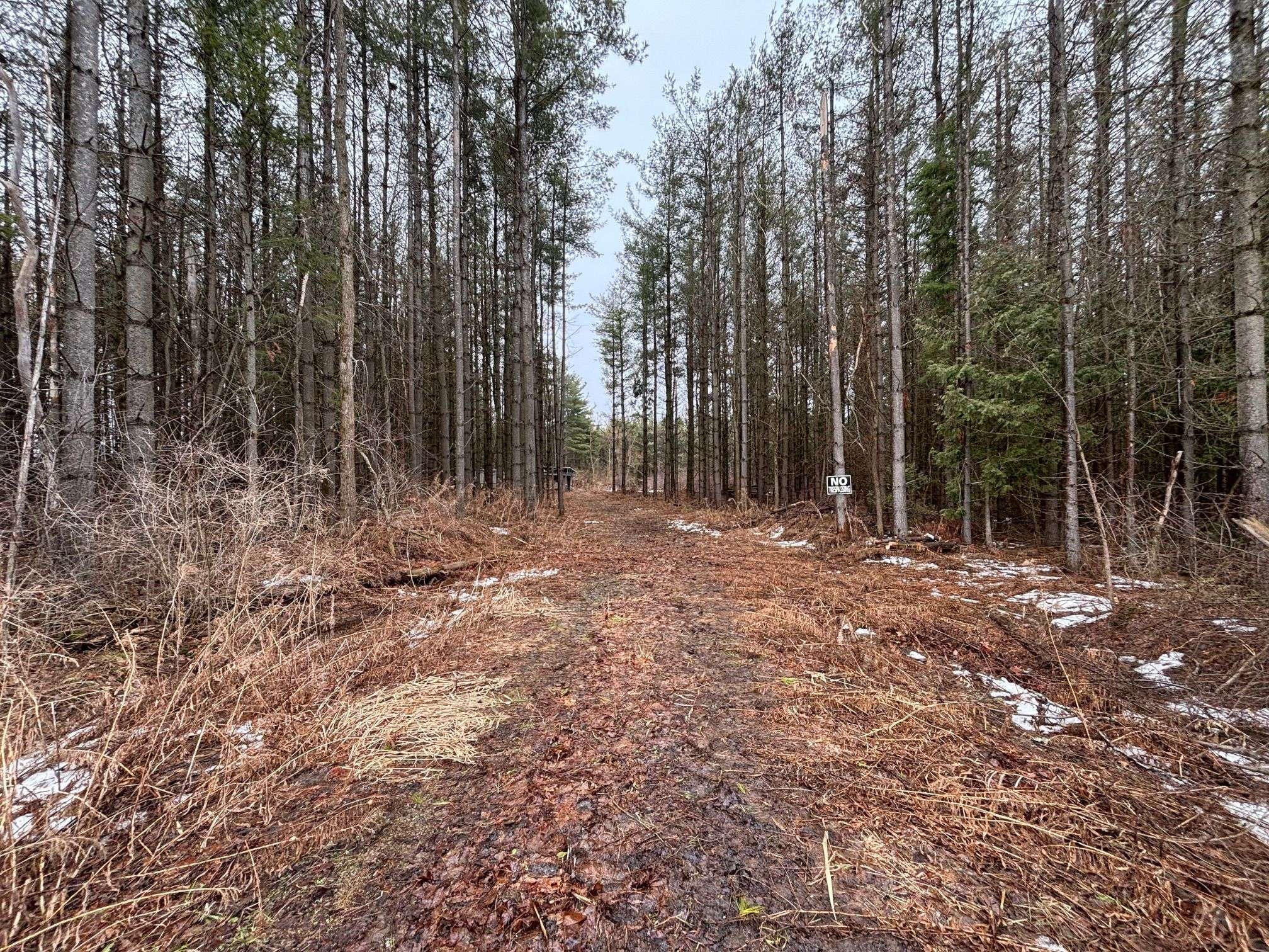 B1780 Thoroh Conc 3 Rd Concession, Brock, ON L0K 1A0