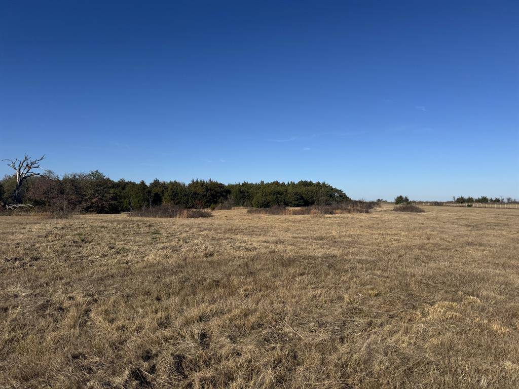 TBD Tract 8 FM 2675, Roxton, TX 75477