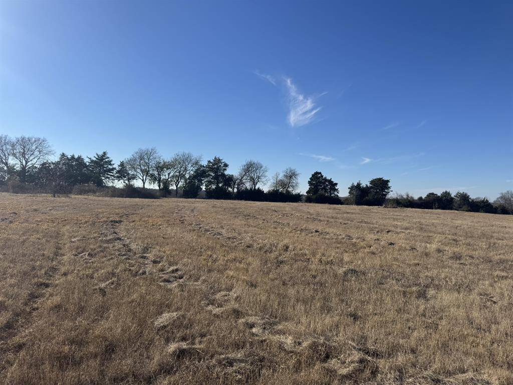 TBD Tract 8 FM 2675, Roxton, TX 75477