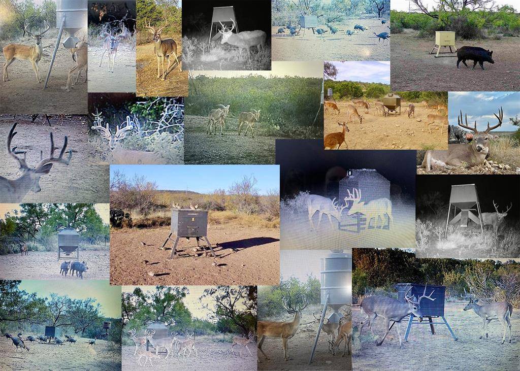 3408 CR 312, Voss, TX 76888