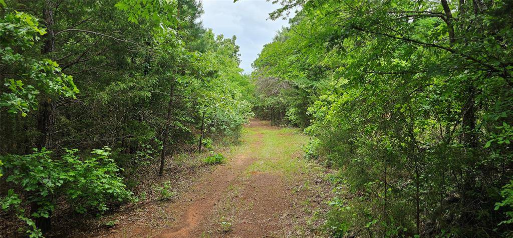 TBD VZ County Road 4814, Ben Wheeler, TX 75754