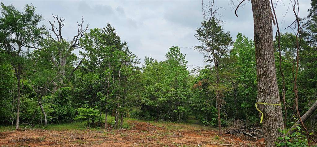 TBD VZ County Road 4814, Ben Wheeler, TX 75754