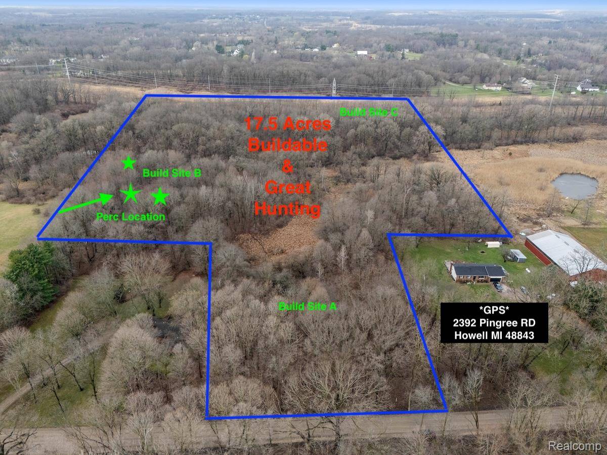 VL Pingree RD, Marion Township, MI 48843