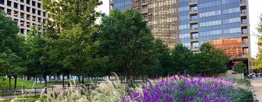 1200 Main Street #401, Dallas, TX 75202