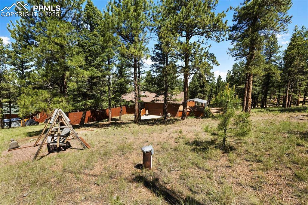 234 Wasatch LN, Florissant, CO 80816
