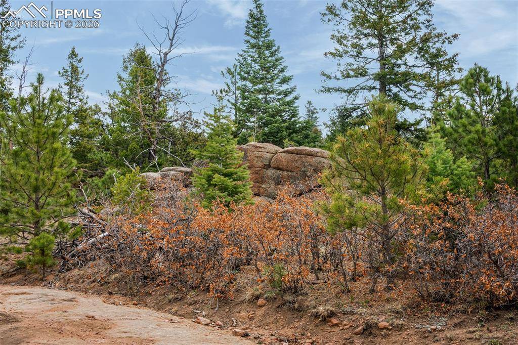 Unknown, Penrose, CO 81240