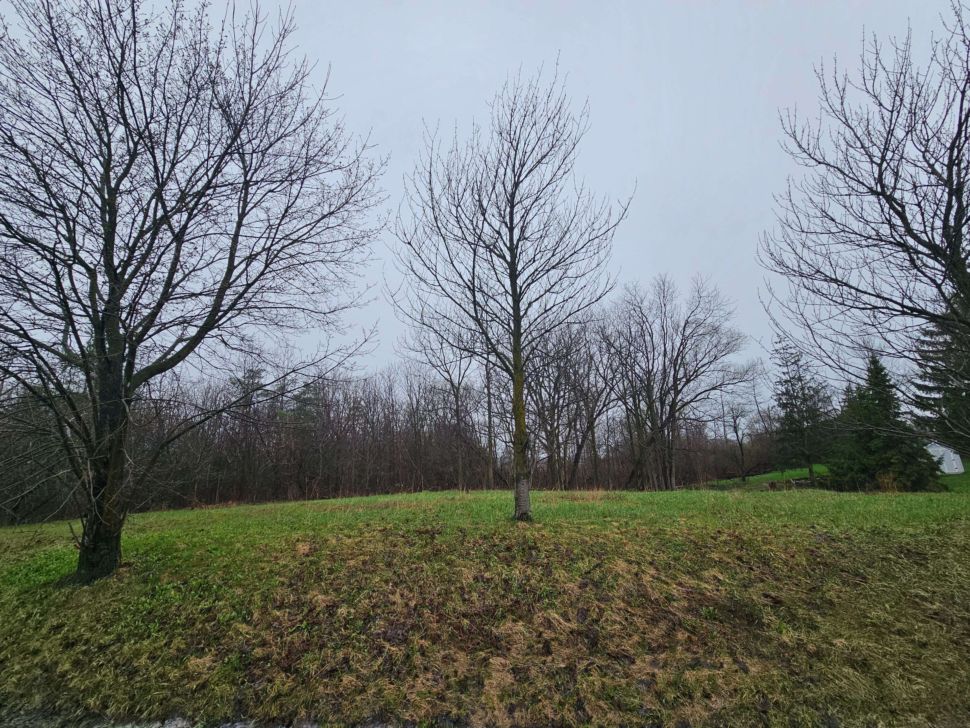 PT LT 21 PL 295 COLBORNE Lucknow Line, Ashfield-colborne-wawanosh, ON N7A 3Y3