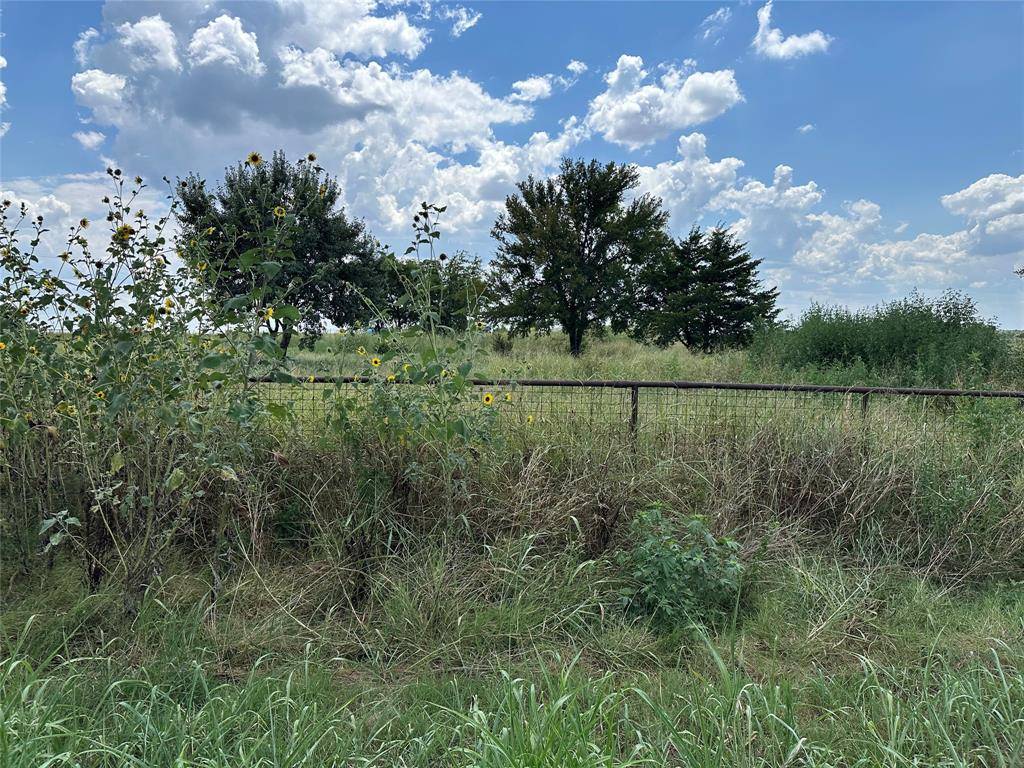 Lot 7 Rutledge Road, Whitewright, TX 75491