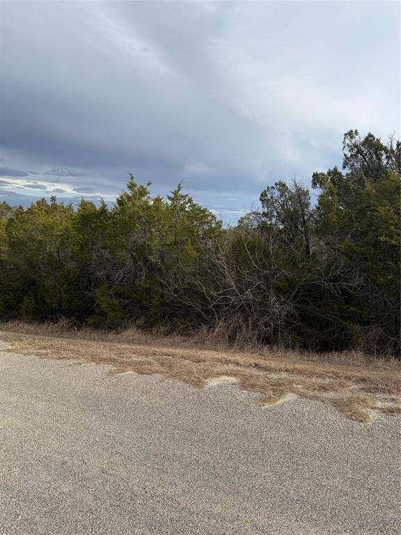 3111 Canadian River Trail, Granbury, TX 76048