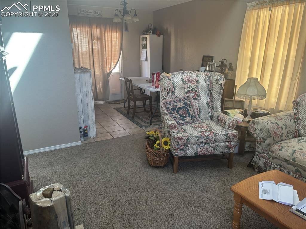 245 Pointer PL, Colorado Springs, CO 80911