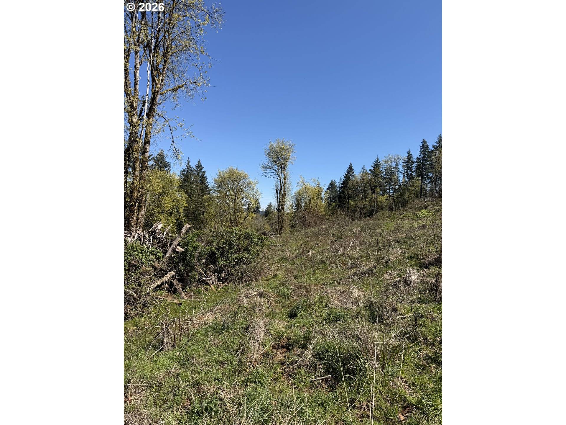 NW Hilltop PL, Banks, OR 97106