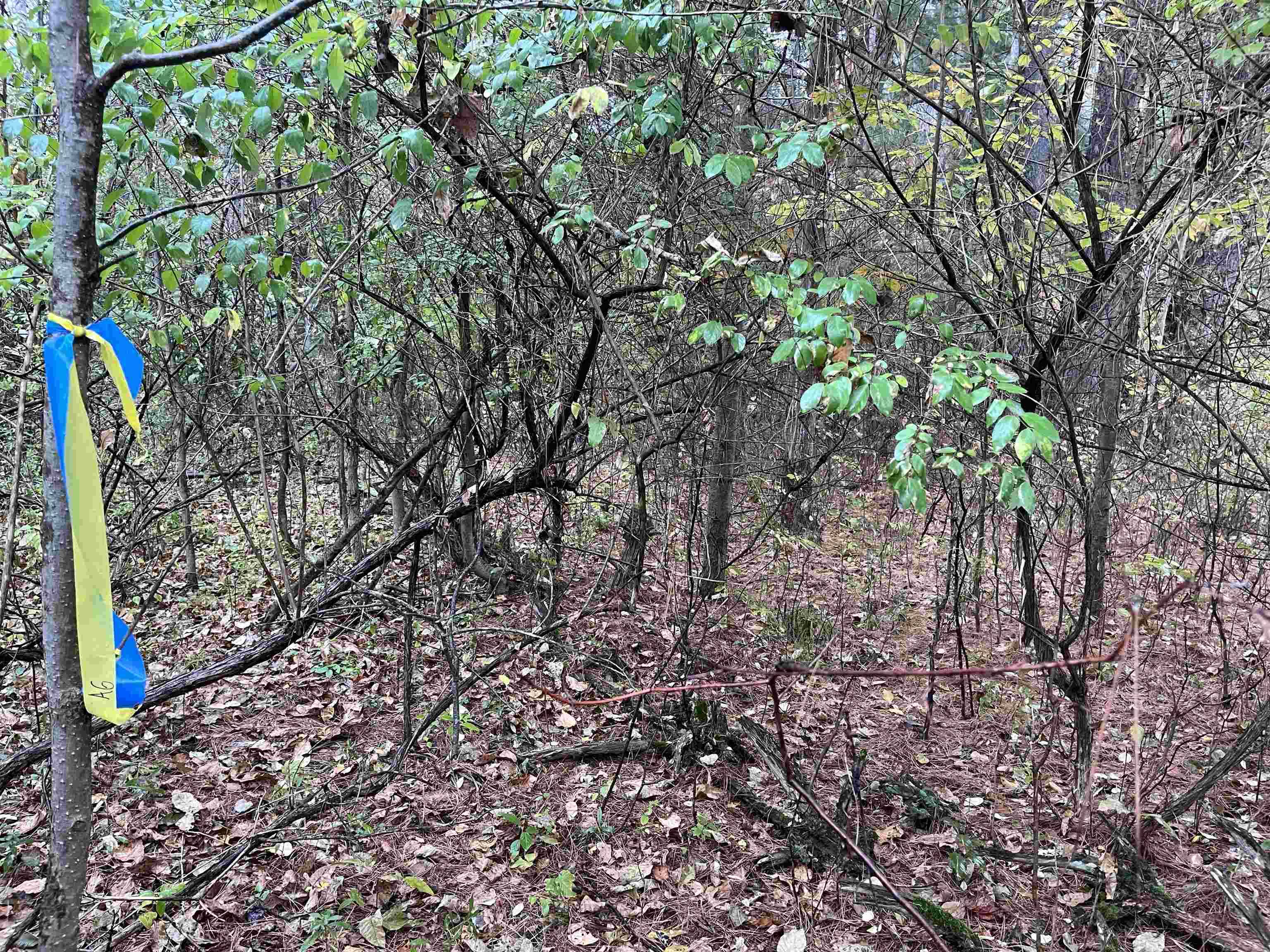 35 Wilber RD, Baldwin Twp, MI 48763