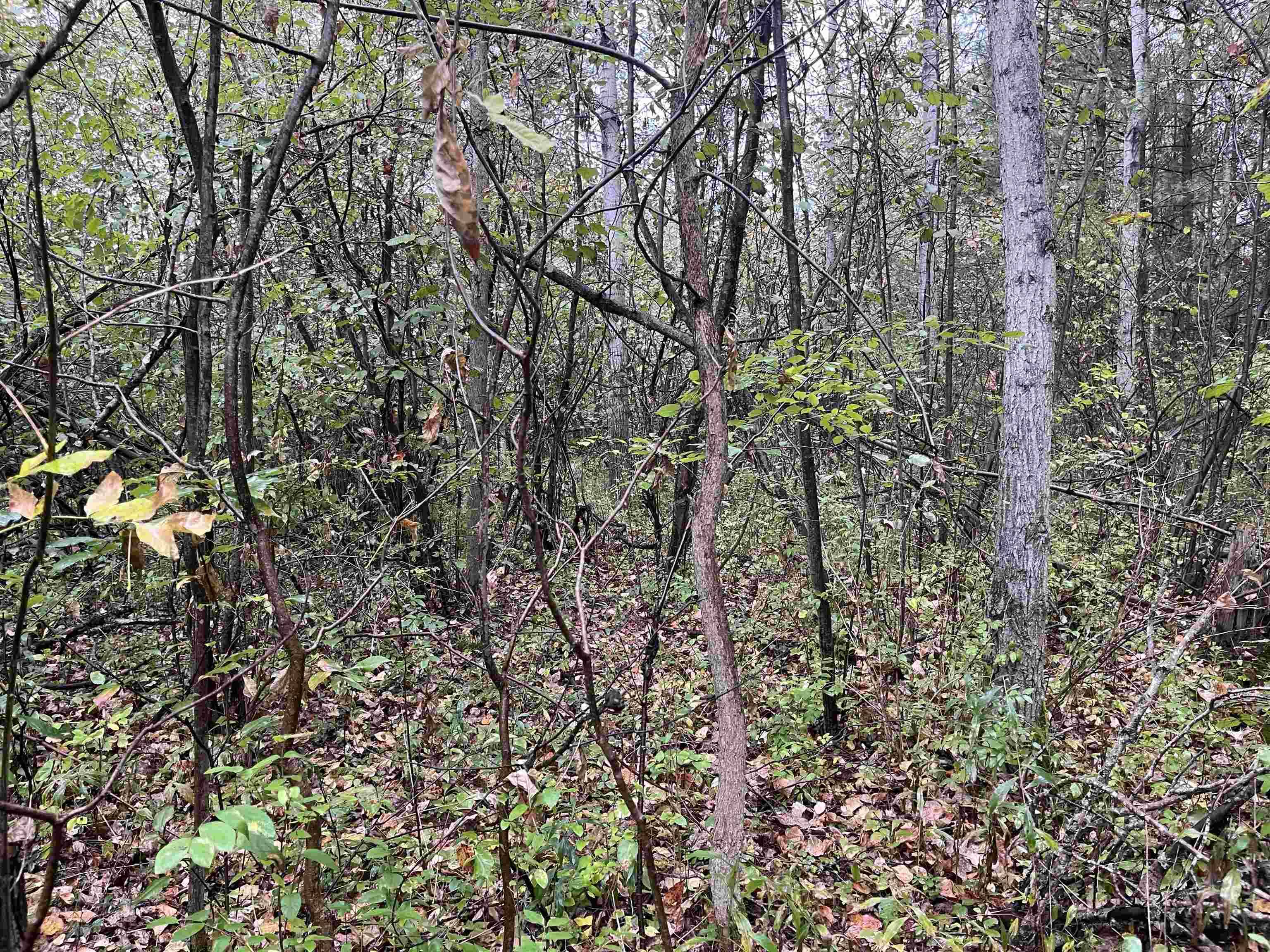 35 Wilber RD, Baldwin Twp, MI 48763