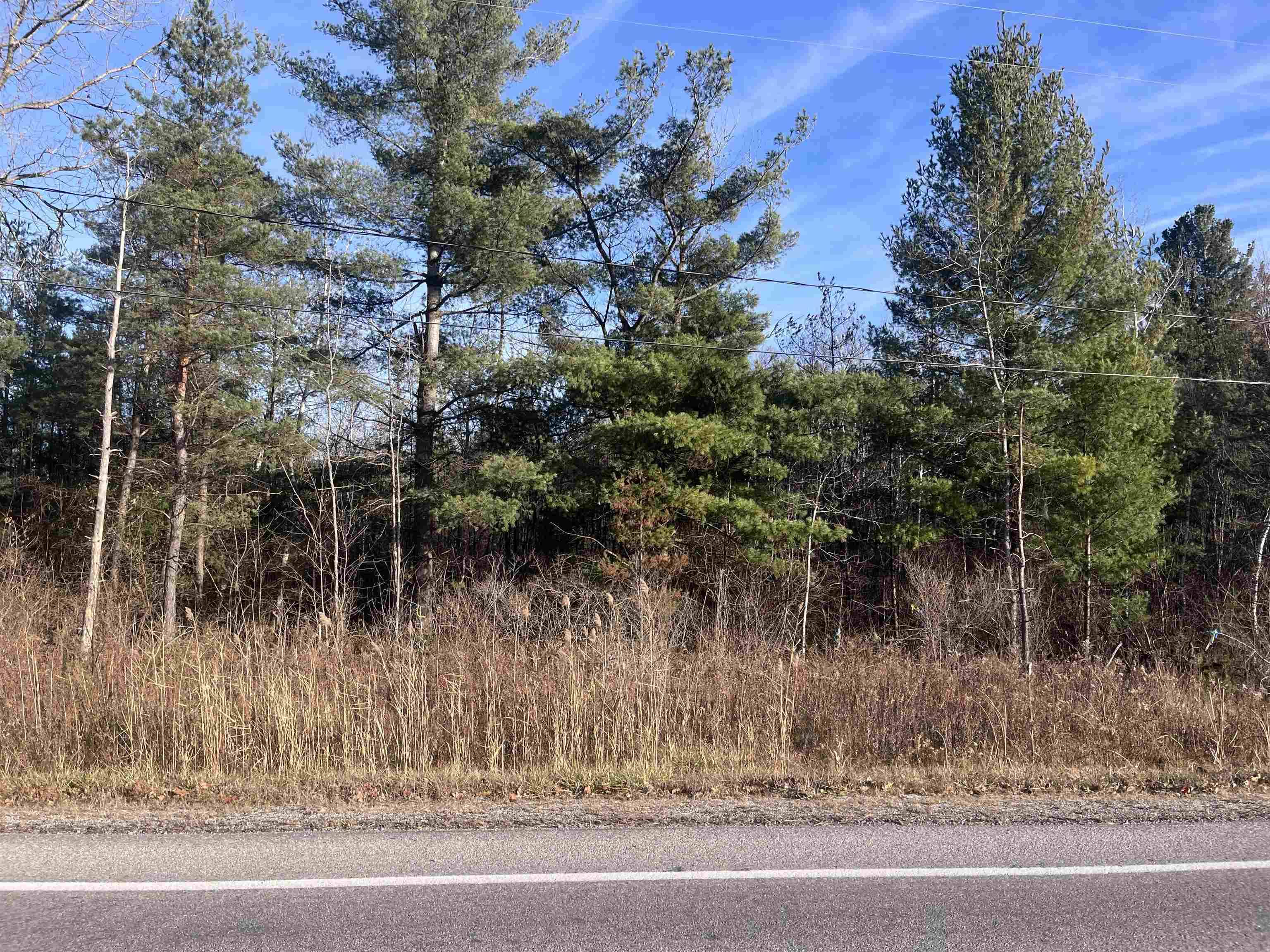 35 Wilber RD, Baldwin Twp, MI 48763