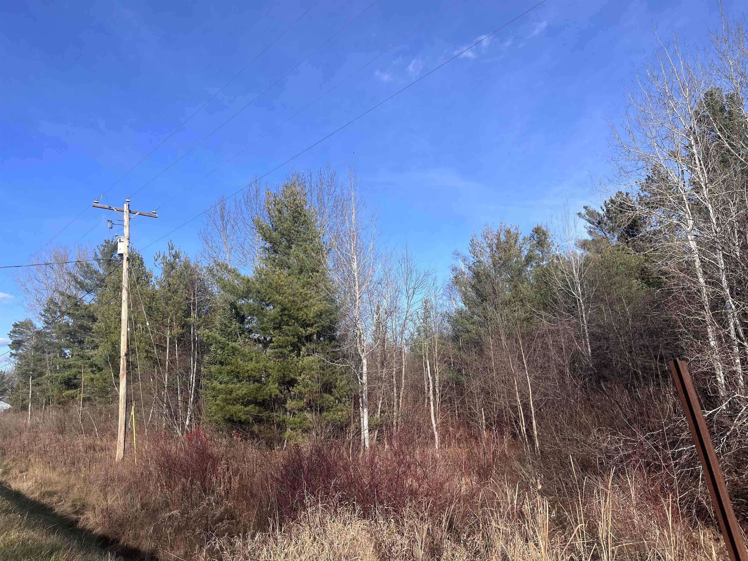 35 Wilber RD, Baldwin Twp, MI 48763