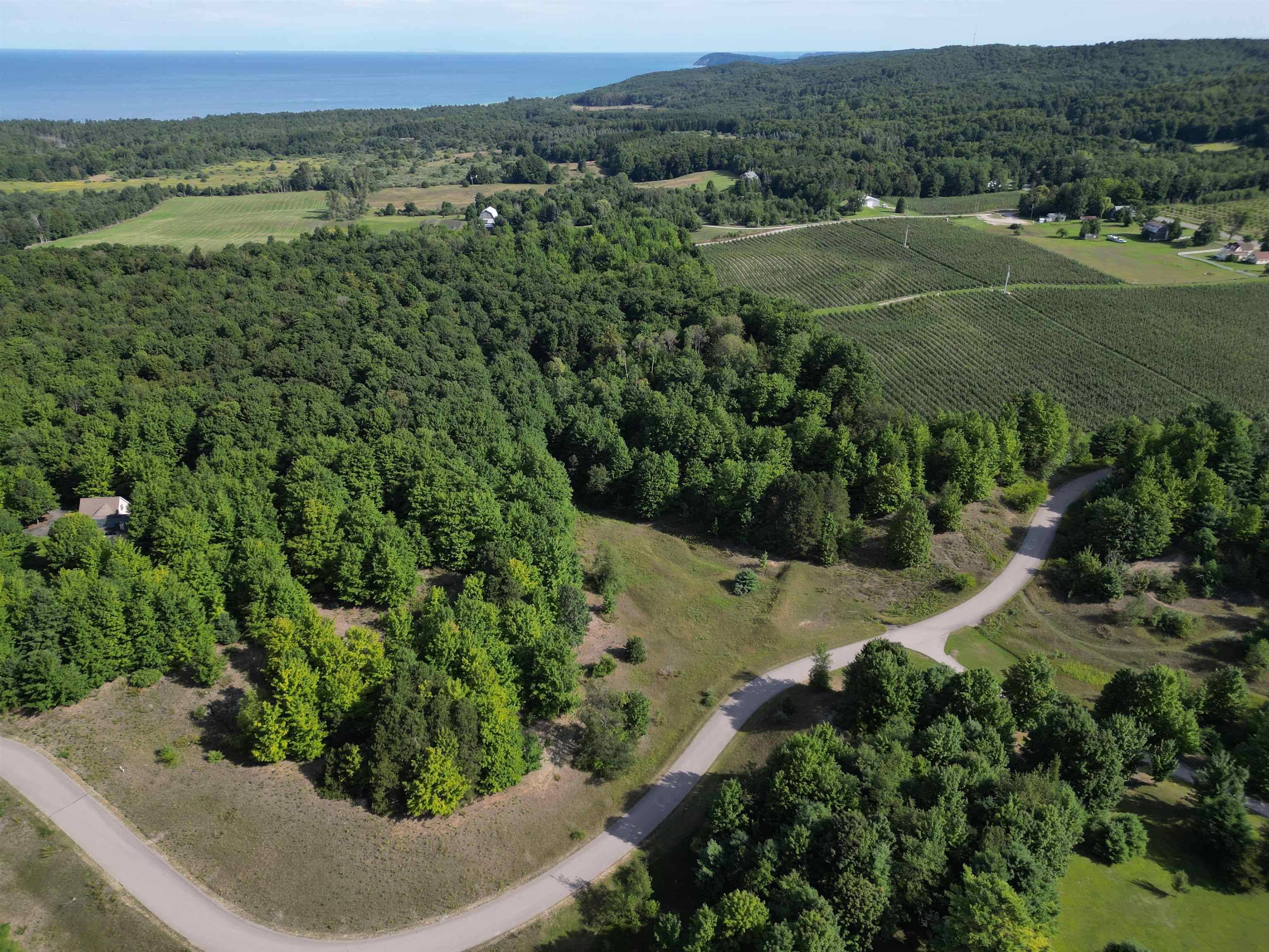 005 E Meander LN, Centerville Twp, MI 49621