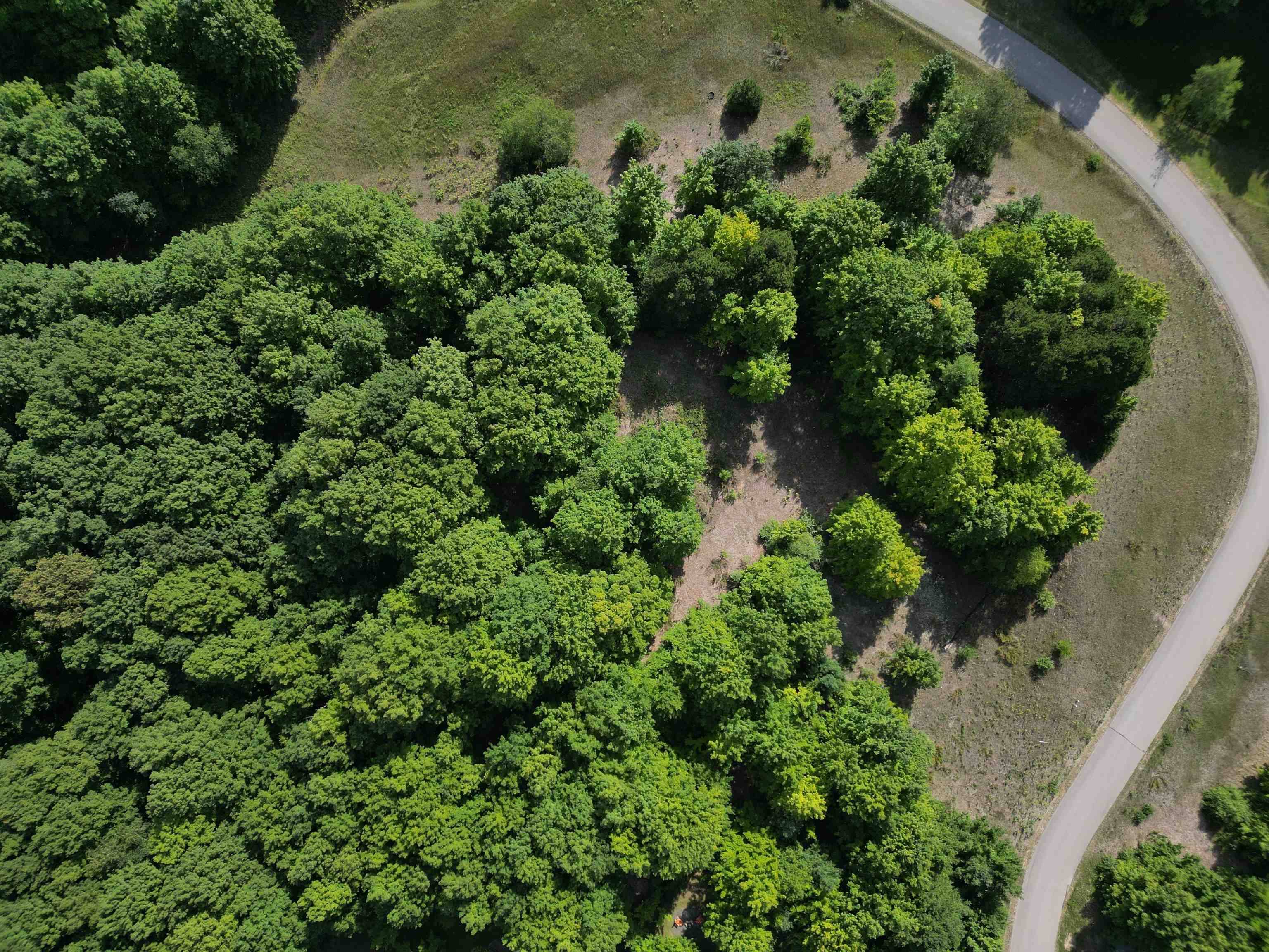 005 E Meander LN, Centerville Twp, MI 49621