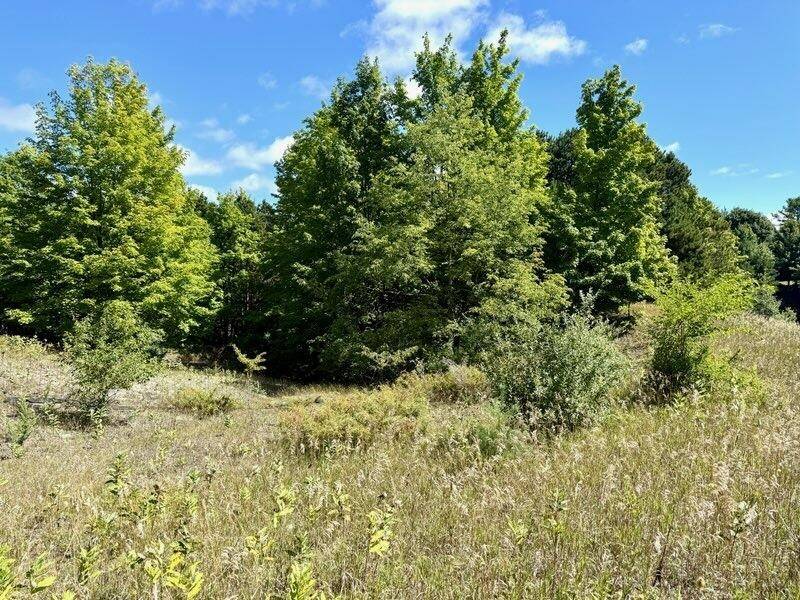 005 E Meander LN, Centerville Twp, MI 49621