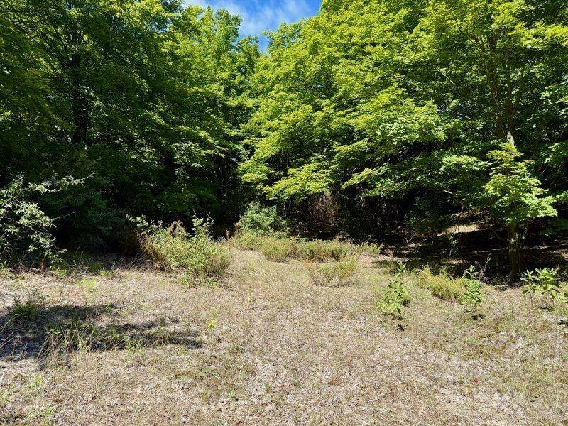 005 E Meander LN, Centerville Twp, MI 49621