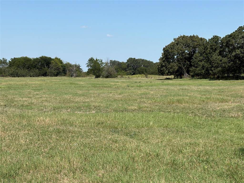 TBD 3 County Road 1168 #Tract 3, Brashear, TX 75420