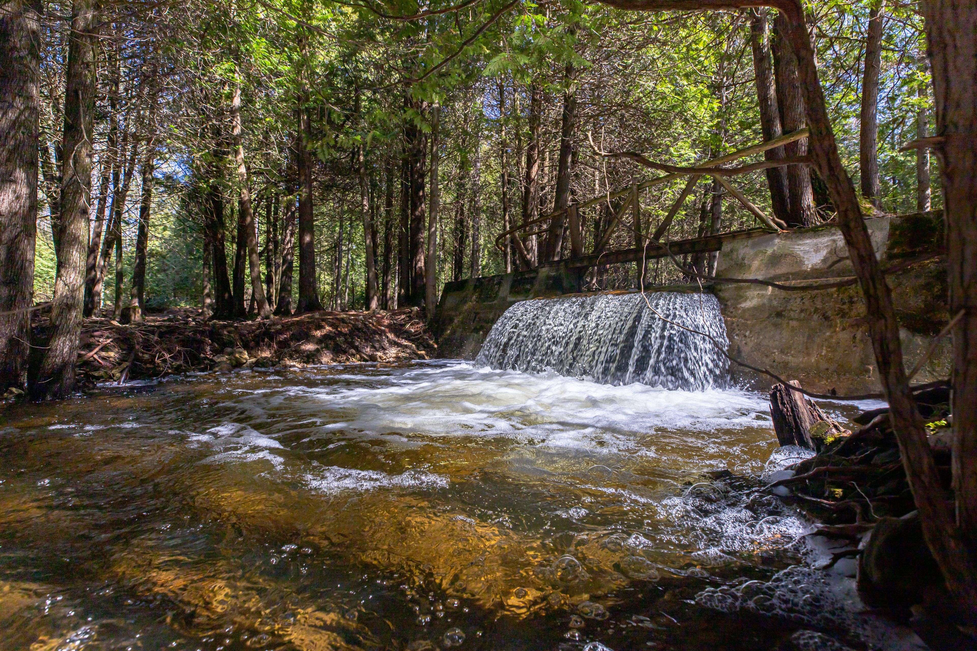 716612 West Back Line, Chatsworth, ON N0H 1R0