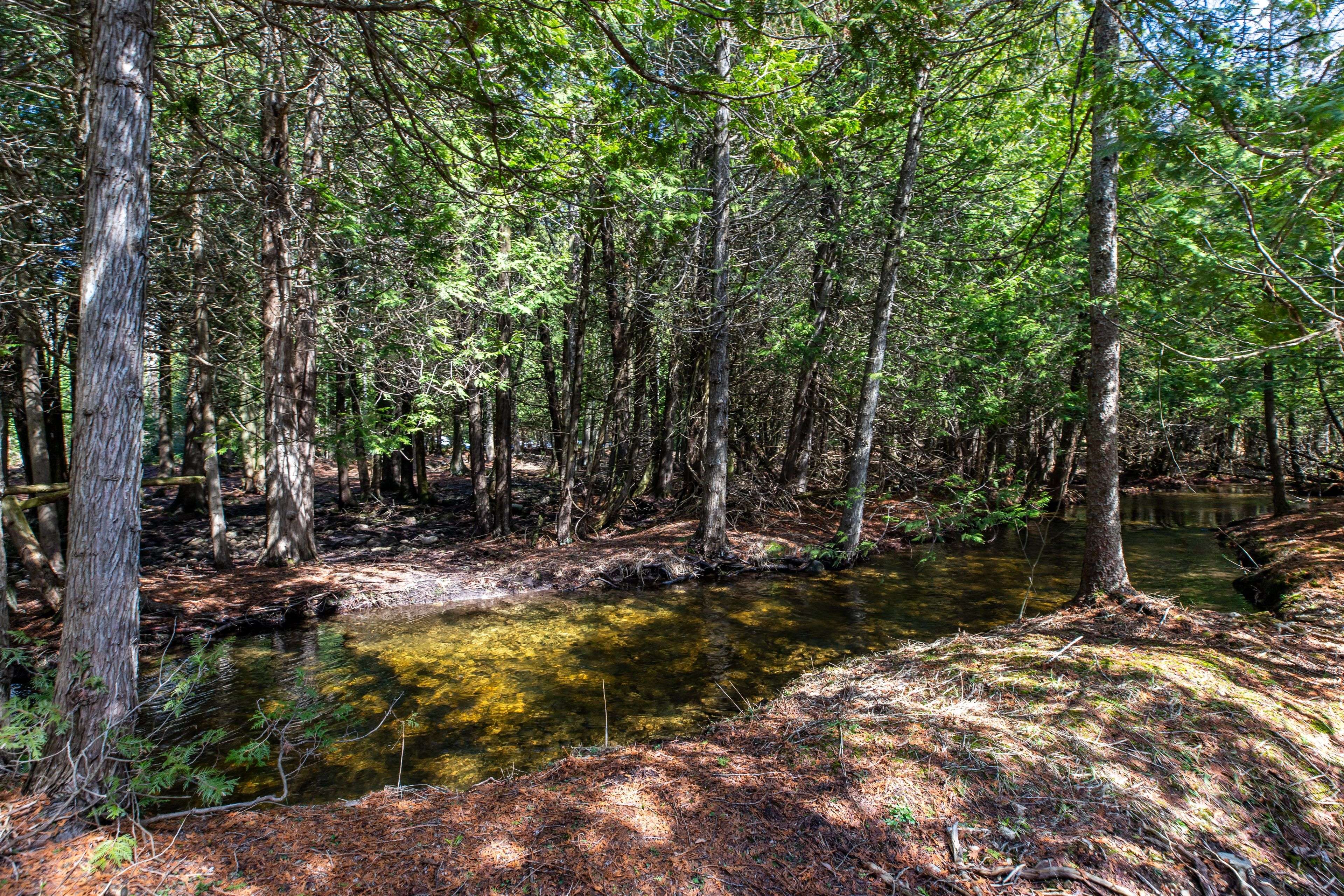 716612 West Back Line, Chatsworth, ON N0H 1R0