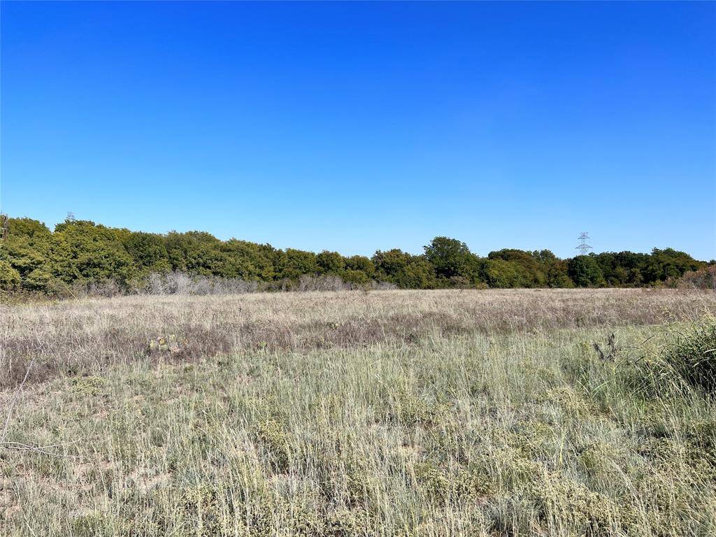 TBD Linda Road, Carls Corner, TX 76670