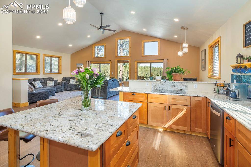 1615 Masters DR, Woodland Park, CO 80863