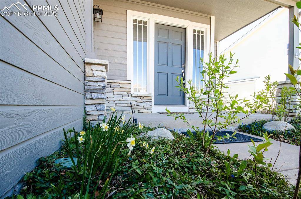 1147 Dream Lake CT, Colorado Springs, CO 80921