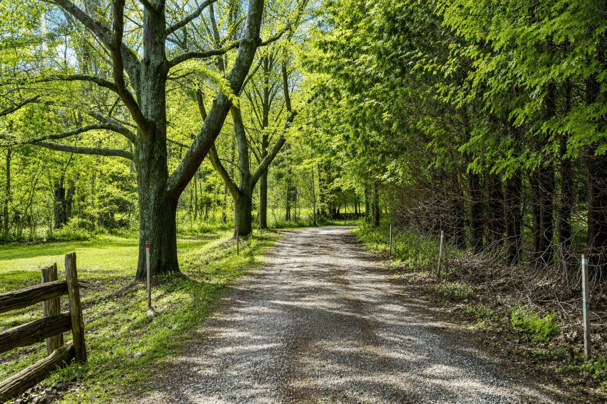 8943 County Road 9 N/A, Clearview, ON L0M 1G0