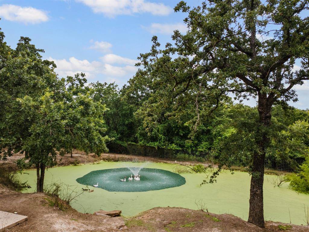 396 Wild Hill Oak Drive, Springtown, TX 76082