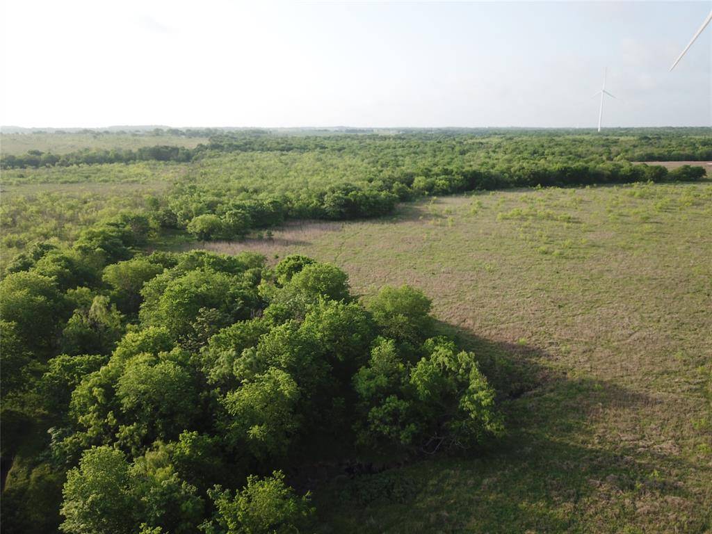 308.64 ACRES LCR 208A, Coolidge, TX 76635