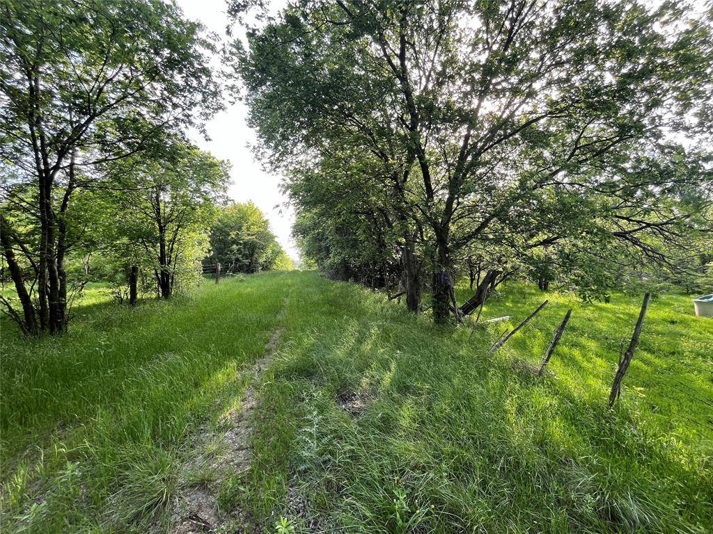 308.64 ACRES LCR 208A, Coolidge, TX 76635