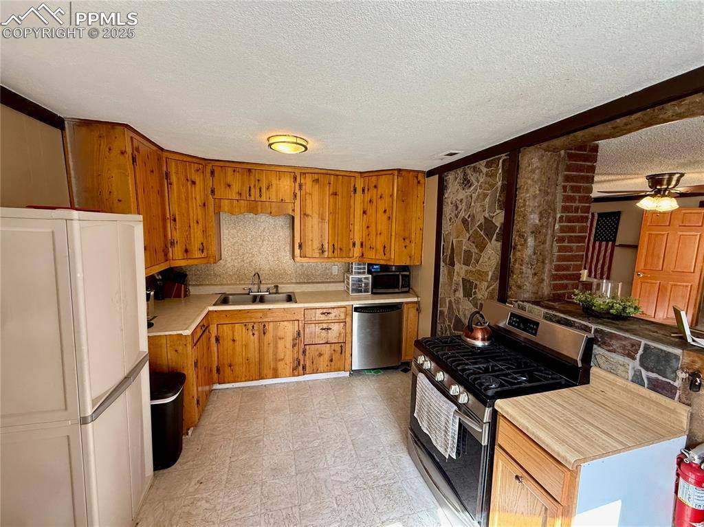 753 Will Stutley DR, Divide, CO 80814