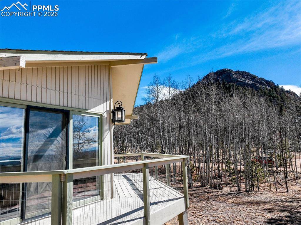 1874 Vagabond Creek DR, Lake George, CO 80827