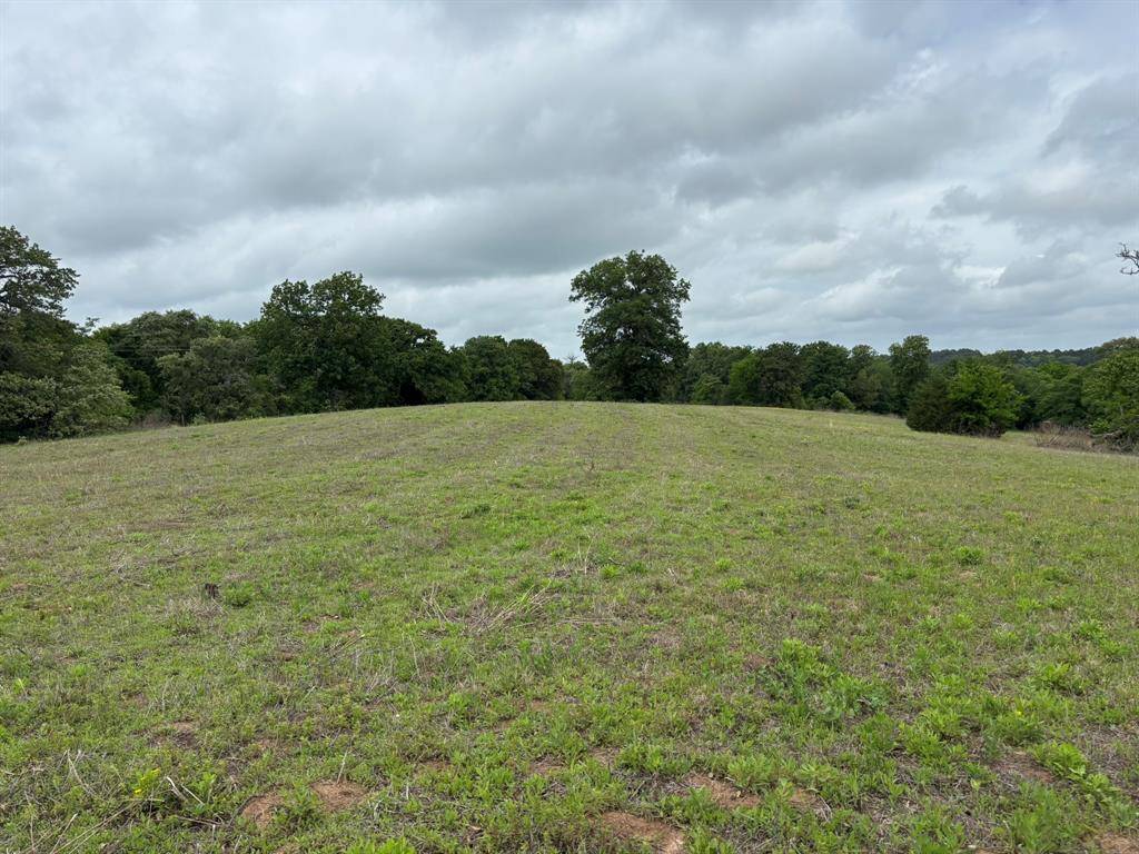 14074 CR-3520, Brownsboro, TX 75756