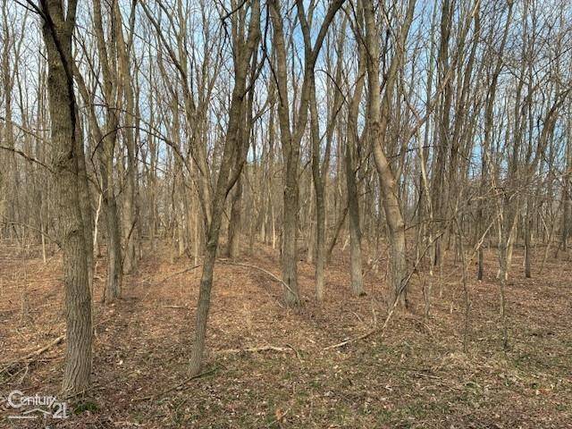 000 Marshall RD, Green Oak Twp, MI 48178