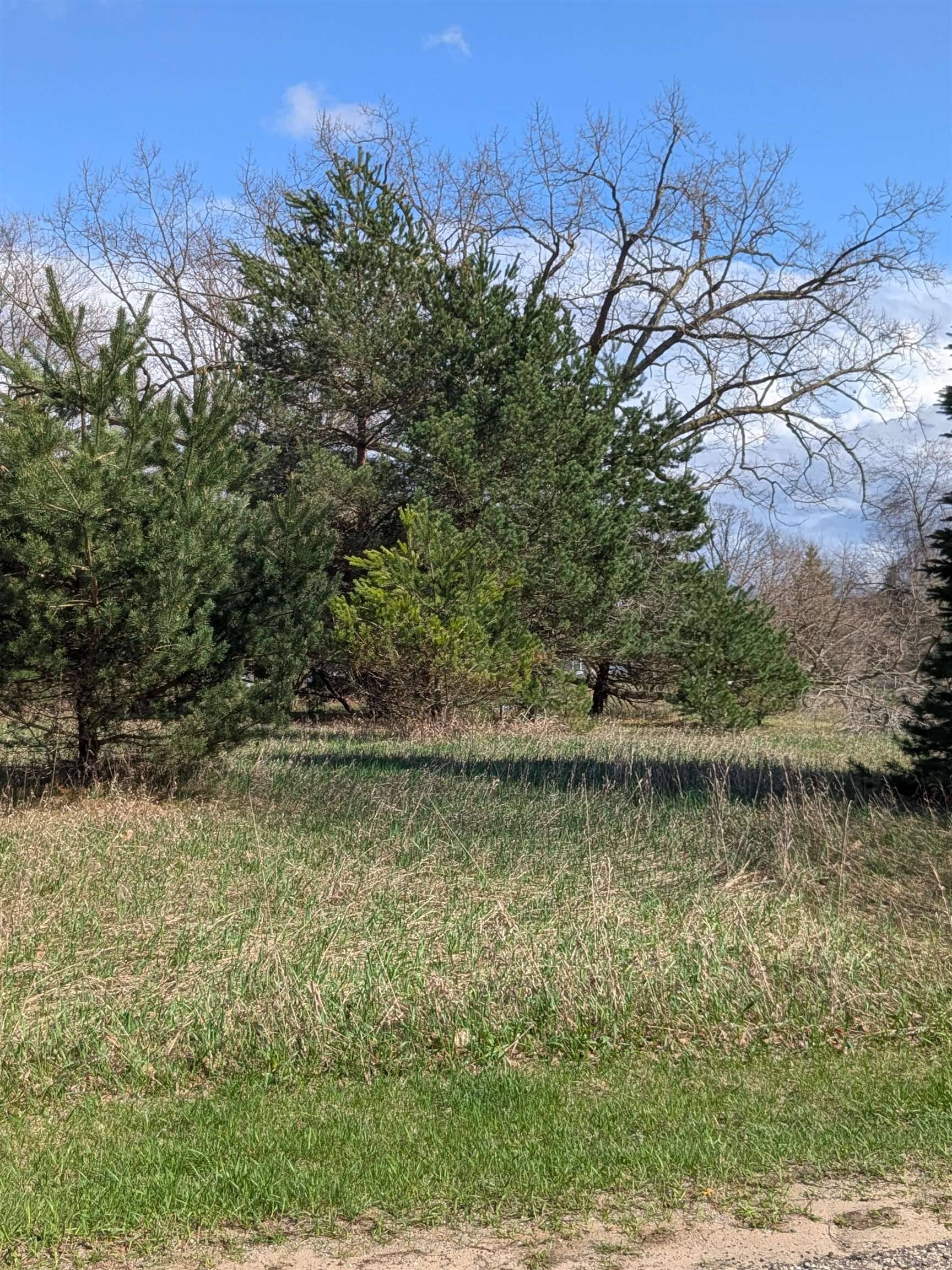 1007 Kent ST, Broomfield Twp, MI 48893