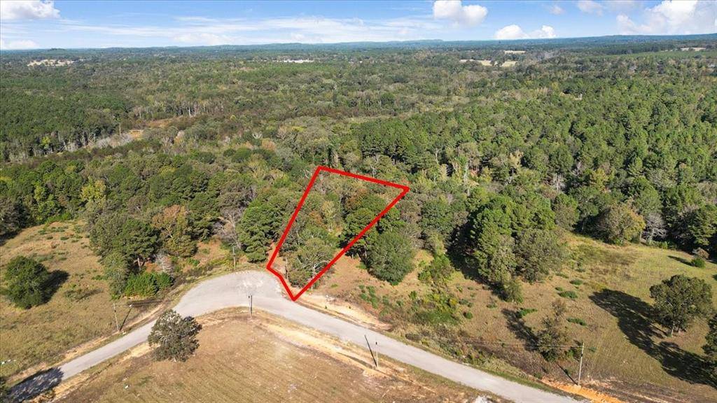 TBD PR 3398 Road, Big Sandy, TX 75755