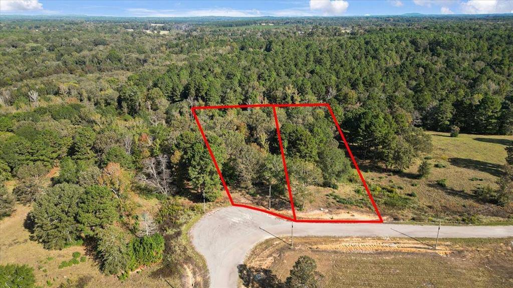 TBD PR 3398 Road, Big Sandy, TX 75755