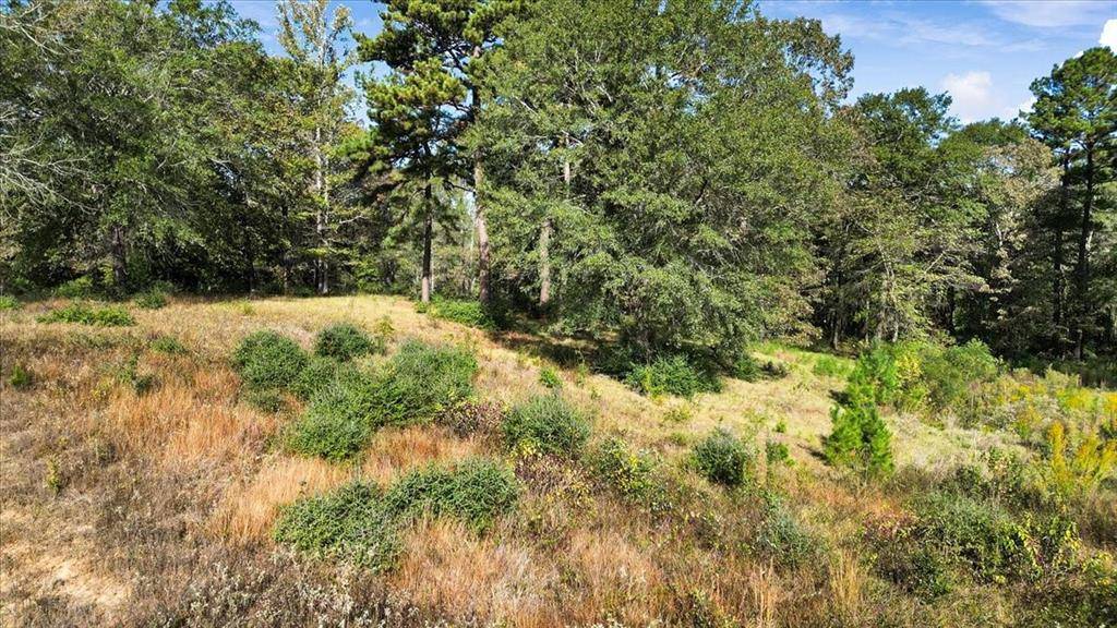 TBD Private Road, Big Sandy, TX 75755