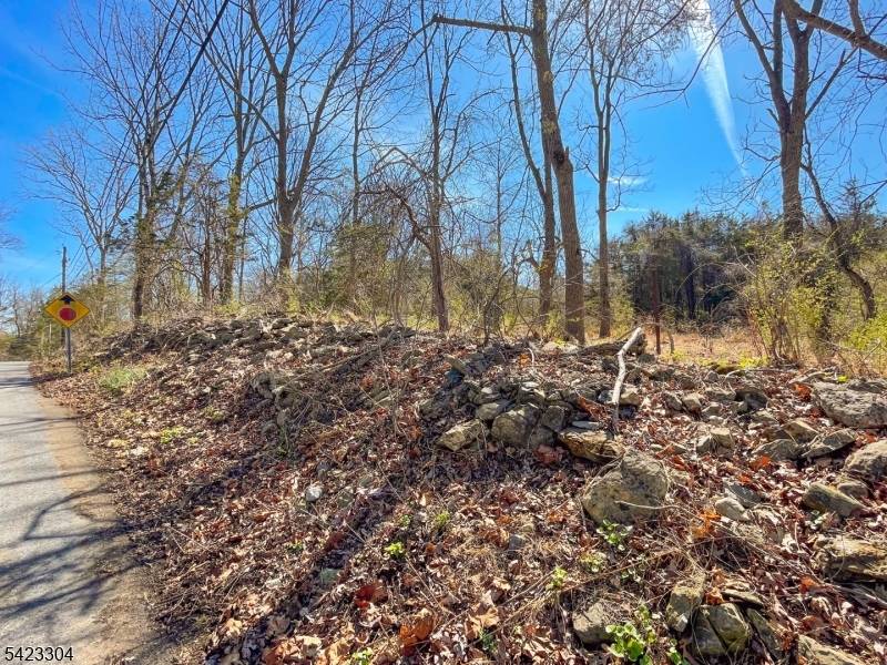 569 Ervey Rd, Allamuchy Twp., NJ 07821