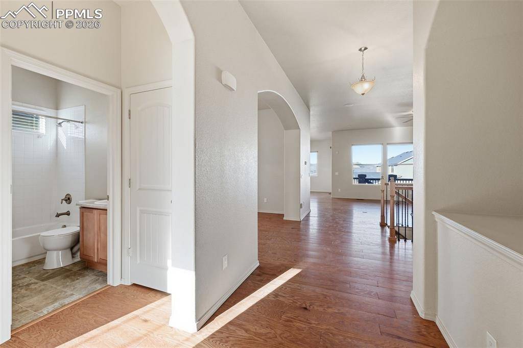 6584 Diamond Hitch DR, Colorado Springs, CO 80923