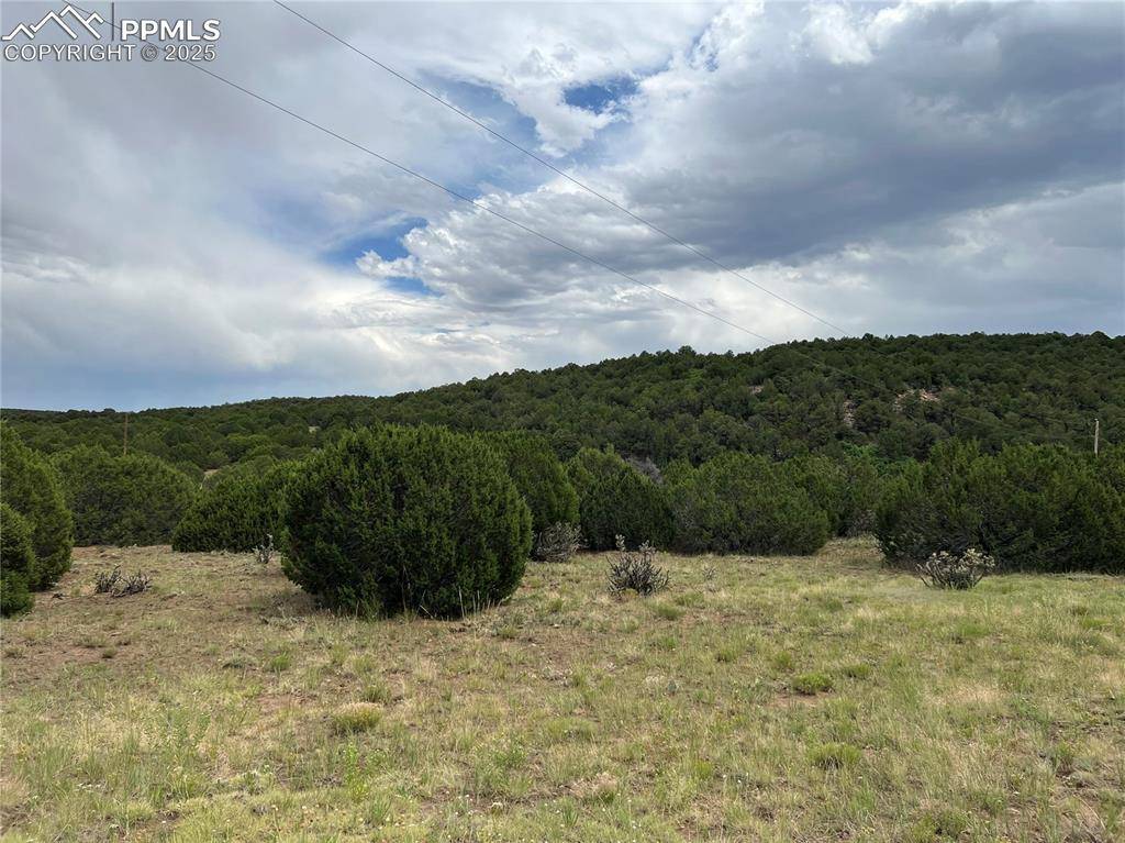 SUNRISE RD, Walsenburg, CO 81089
