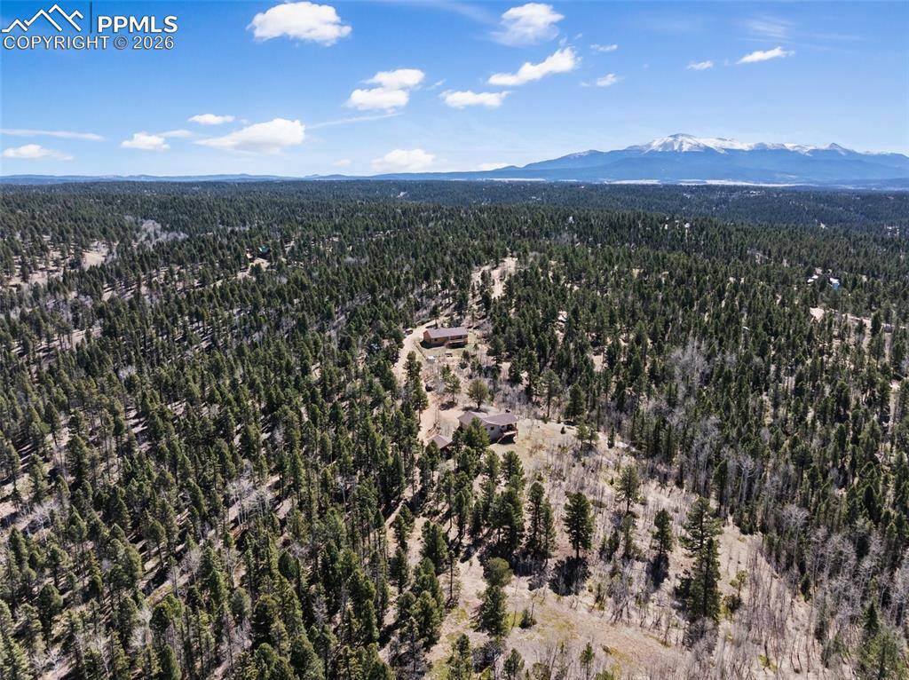 4265 County Road 51 RD, Divide, CO 80814