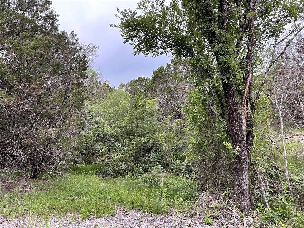 1083 Cedar Hill Drive, Nemo, TX 76070
