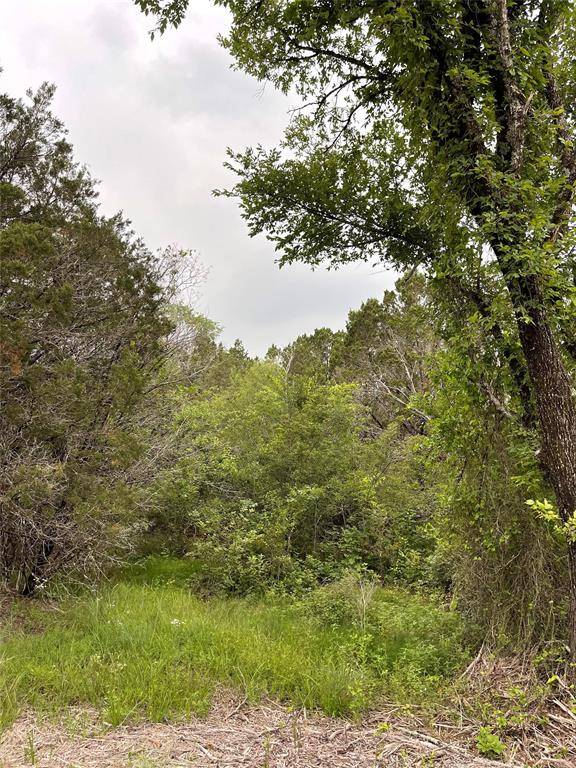 1083 Cedar Hill Drive, Nemo, TX 76070