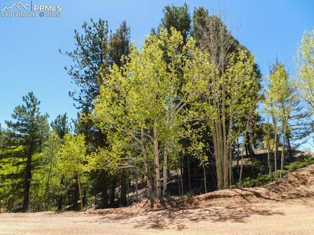 51 Mariposa DR, Cripple Creek, CO 80813