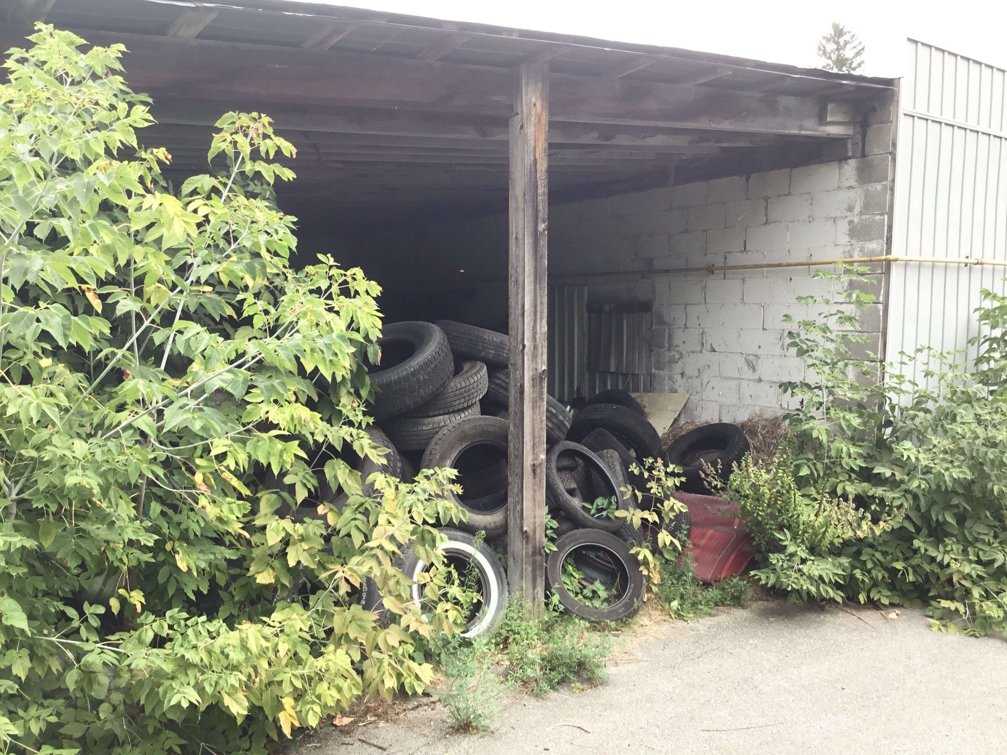 73 King ST E, Kawartha Lakes, ON K0L 2W0